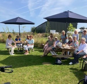 Folkestone 2 Gingerly Green Folkestone 2 Gingerly Green