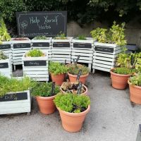 Help yourself herbs at the living wall