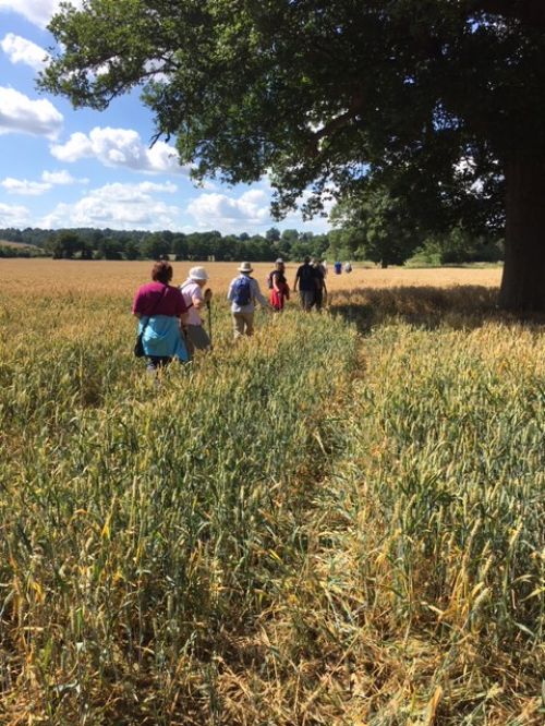 The 'fit' part of our Fit and Friendly monthly walks with our Rotary partners.