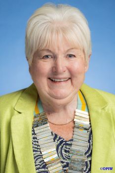 Pat Wakeham
